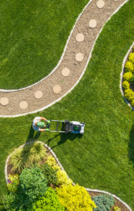 Սիզամարգեր